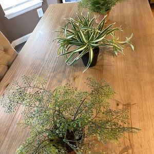 4 Pottery Barn Faux potted assorted foliages